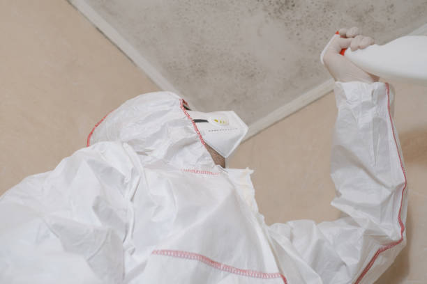 Best Industrial Mold Remediation in Wausau, WI