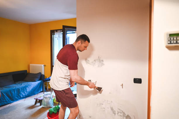 Best Crawl Space Mold Remediation in Wausau, WI